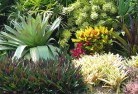 Stony Chuteplanting-garden-and-landscape-design-24.jpg; ?>