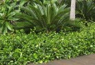 Stony Chuteplanting-garden-and-landscape-design-45.jpg; ?>